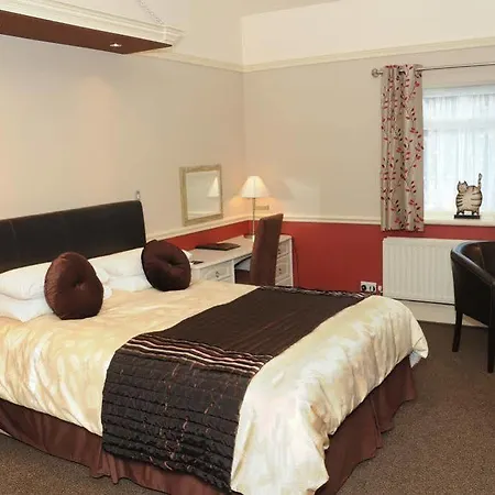 ハンディス ヒル コッカーマス