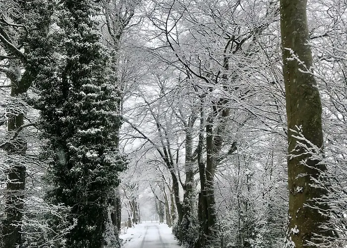 Hundith Hill Cockermouth